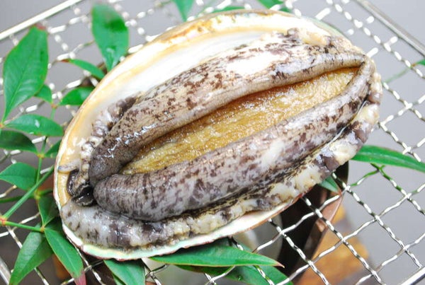 【JR福山駅発】丹波 旅の大総力祭♪10(てん)こもりのお持ち帰り 日帰り3